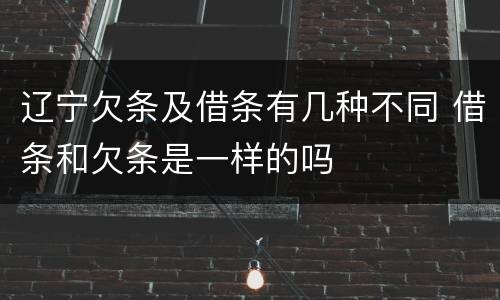 辽宁欠条及借条有几种不同 借条和欠条是一样的吗