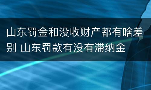 山东罚金和没收财产都有啥差别 山东罚款有没有滞纳金