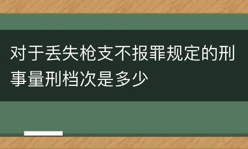 对于丢失枪支不报罪规定的刑事量刑档次是多少