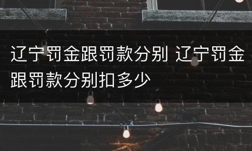 辽宁罚金跟罚款分别 辽宁罚金跟罚款分别扣多少