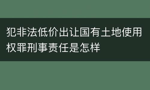 犯非法低价出让国有土地使用权罪刑事责任是怎样