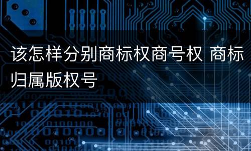 该怎样分别商标权商号权 商标归属版权号