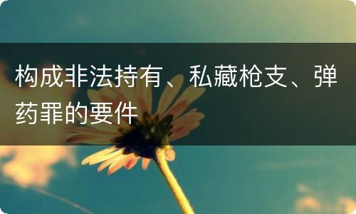 构成非法持有、私藏枪支、弹药罪的要件