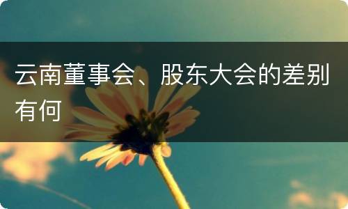 云南董事会、股东大会的差别有何