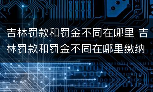 吉林罚款和罚金不同在哪里 吉林罚款和罚金不同在哪里缴纳