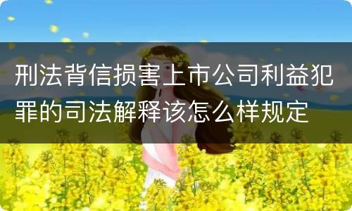 刑法背信损害上市公司利益犯罪的司法解释该怎么样规定