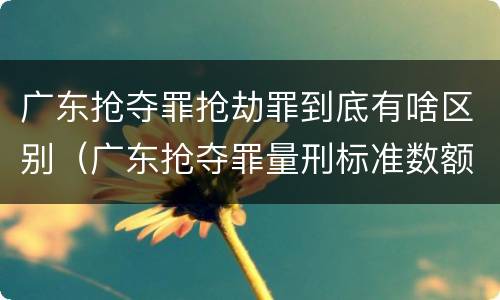 广东抢夺罪抢劫罪到底有啥区别（广东抢夺罪量刑标准数额）