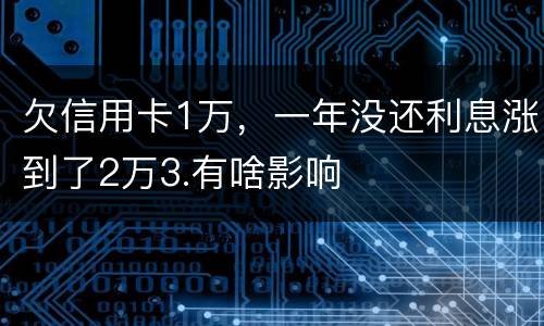 欠信用卡1万，一年没还利息涨到了2万3.有啥影响