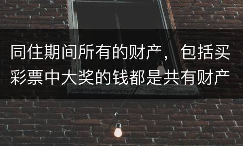 同住期间所有的财产，包括买彩票中大奖的钱都是共有财产吗