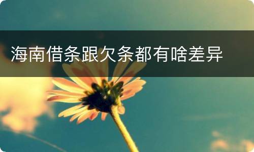 海南借条跟欠条都有啥差异
