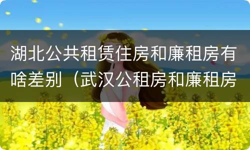 湖北公共租赁住房和廉租房有啥差别（武汉公租房和廉租房）