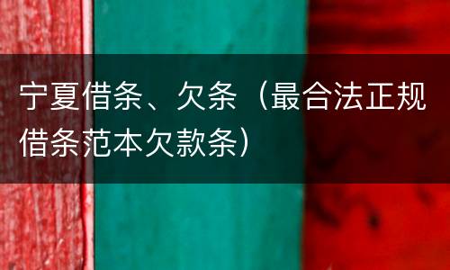 宁夏借条、欠条（最合法正规借条范本欠款条）