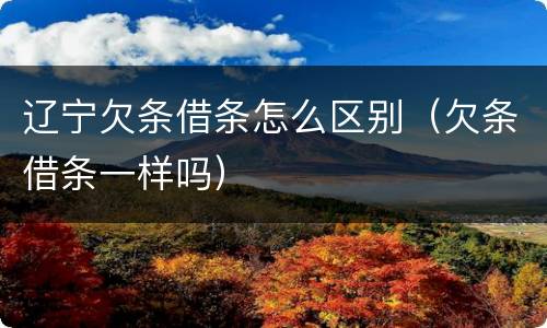 辽宁欠条借条怎么区别（欠条借条一样吗）