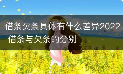 借条欠条具体有什么差异2022 借条与欠条的分别