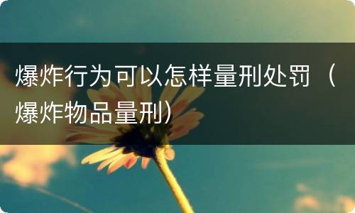 爆炸行为可以怎样量刑处罚（爆炸物品量刑）