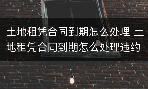 土地租凭合同到期怎么处理 土地租凭合同到期怎么处理违约