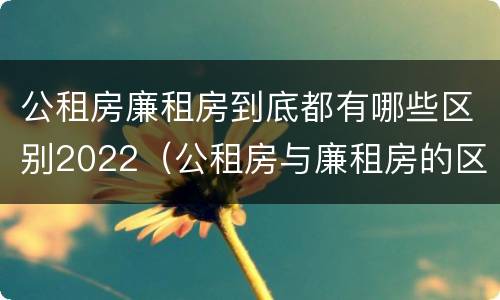 公租房廉租房到底都有哪些区别2022（公租房与廉租房的区别都在此,别再搞错了!）
