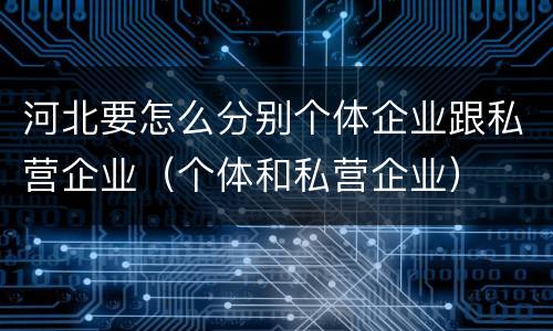 河北要怎么分别个体企业跟私营企业（个体和私营企业）
