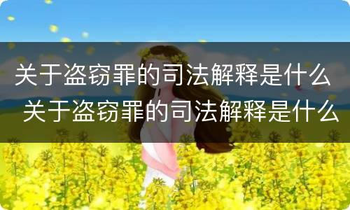 关于盗窃罪的司法解释是什么 关于盗窃罪的司法解释是什么意思