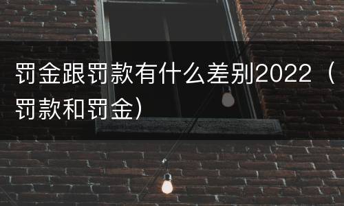 罚金跟罚款有什么差别2022（罚款和罚金）