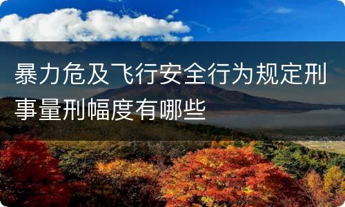 暴力危及飞行安全行为规定刑事量刑幅度有哪些