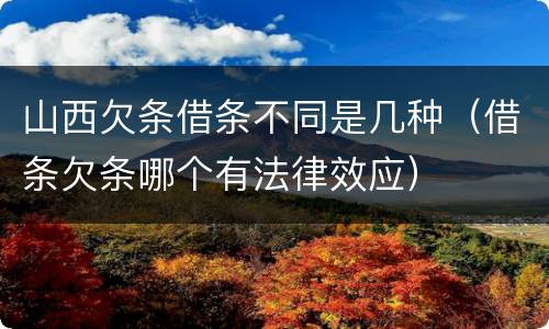 山西欠条借条不同是几种（借条欠条哪个有法律效应）