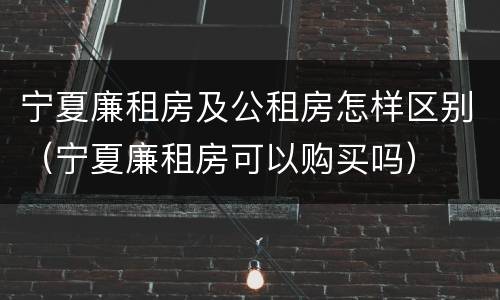 宁夏廉租房及公租房怎样区别（宁夏廉租房可以购买吗）