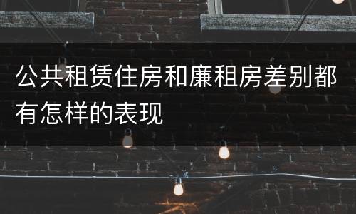 公共租赁住房和廉租房差别都有怎样的表现