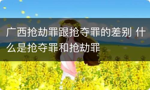 广西抢劫罪跟抢夺罪的差别 什么是抢夺罪和抢劫罪