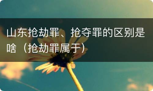 山东抢劫罪、抢夺罪的区别是啥（抢劫罪属于）