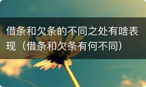 借条和欠条的不同之处有啥表现（借条和欠条有何不同）