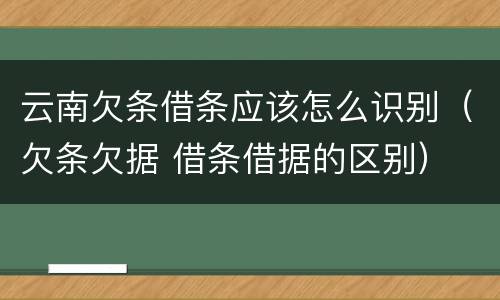 云南欠条借条应该怎么识别（欠条欠据 借条借据的区别）
