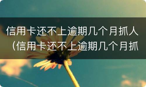 信用卡还不上逾期几个月抓人（信用卡还不上逾期几个月抓人有用吗）