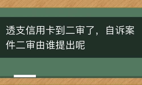 透支信用卡到二审了，自诉案件二审由谁提出呢