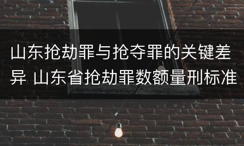 山东抢劫罪与抢夺罪的关键差异 山东省抢劫罪数额量刑标准