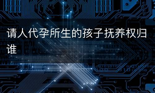 请人代孕所生的孩子抚养权归谁
