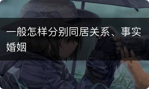 一般怎样分别同居关系、事实婚姻