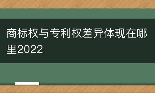 商标权与专利权差异体现在哪里2022