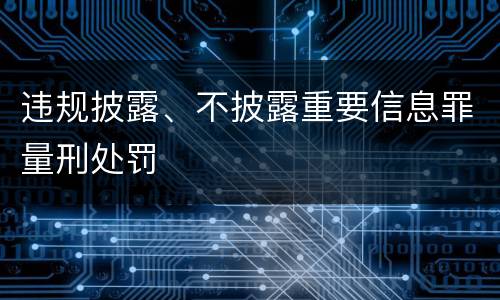 违规披露、不披露重要信息罪量刑处罚