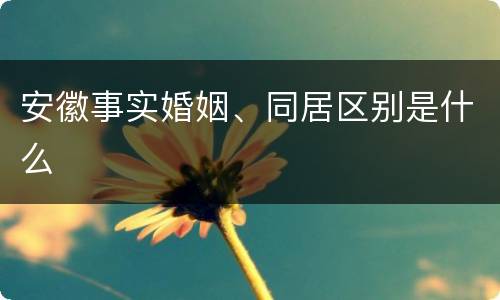 安徽事实婚姻、同居区别是什么