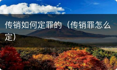 传销如何定罪的（传销罪怎么定）