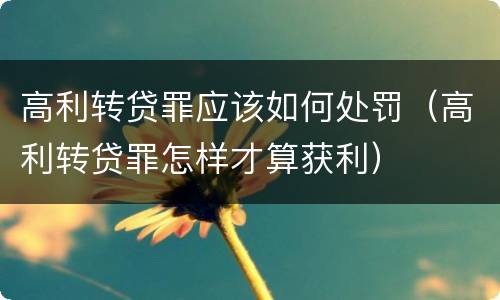 高利转贷罪应该如何处罚（高利转贷罪怎样才算获利）