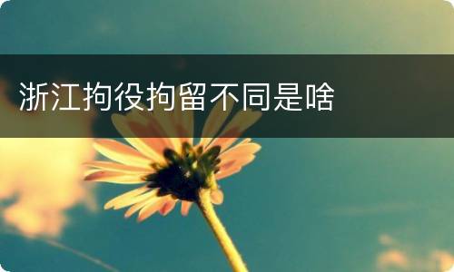 浙江拘役拘留不同是啥