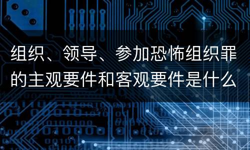 组织、领导、参加恐怖组织罪的主观要件和客观要件是什么