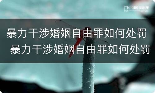 暴力干涉婚姻自由罪如何处罚 暴力干涉婚姻自由罪如何处罚对方