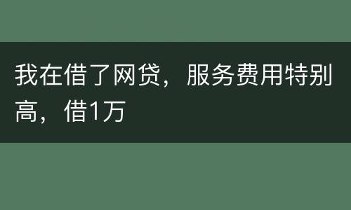 我在借了网贷，服务费用特别高，借1万