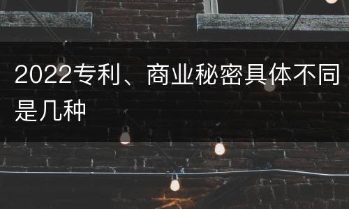 2022专利、商业秘密具体不同是几种