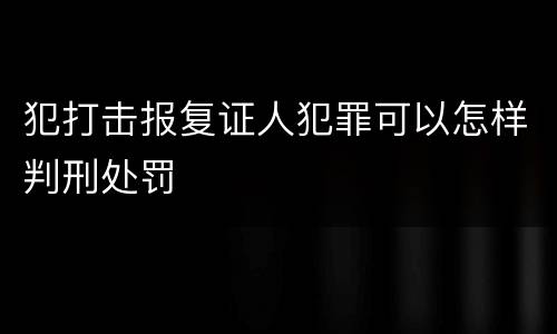 犯打击报复证人犯罪可以怎样判刑处罚