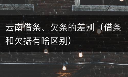 云南借条、欠条的差别（借条和欠据有啥区别）