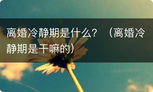 离婚冷静期是什么？（离婚冷静期是干嘛的）